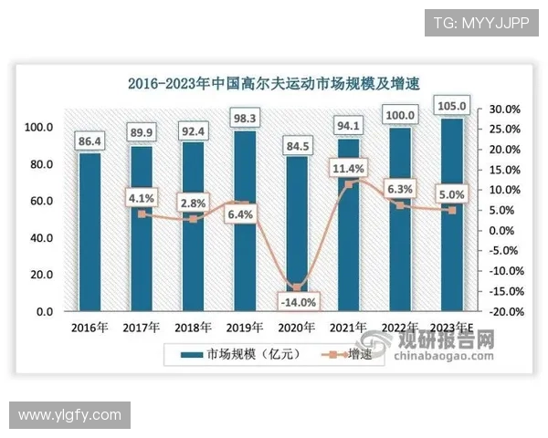 上海羽毛球队心理素质分析及其对比赛表现的影响研究 上海羽毛球队心理素质分析及其对比赛表现的影响研究