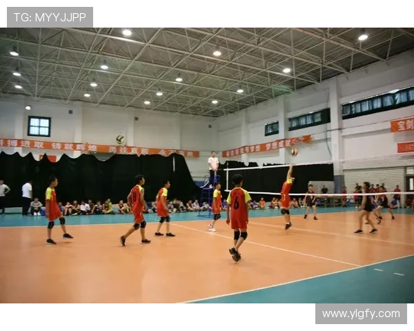 专访刘强:探寻排球背后的成功秘诀与发展之路 专访刘强:探寻排球背后的成功秘诀与发展之路