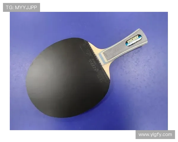 专访杨磊:深入探讨乒乓球背后的成功秘诀与训练心得 专访杨磊:深入探讨乒乓球背后的成功秘诀与训练心得