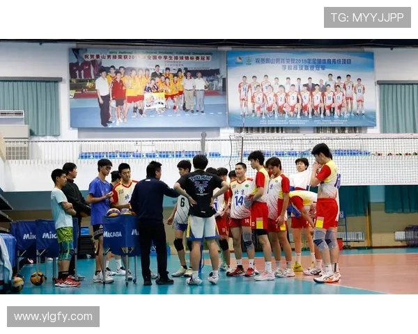 全国锦标赛回顾：成都排球队速度优势助力夺冠之路